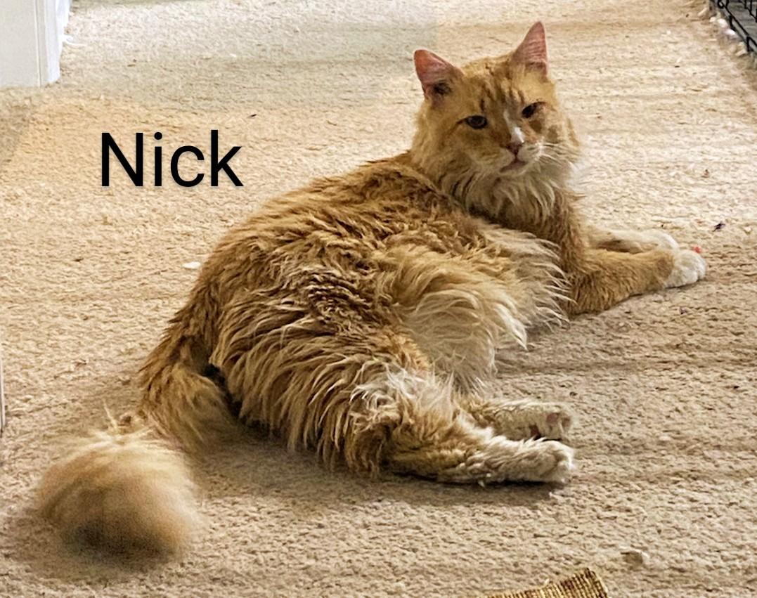 Nick