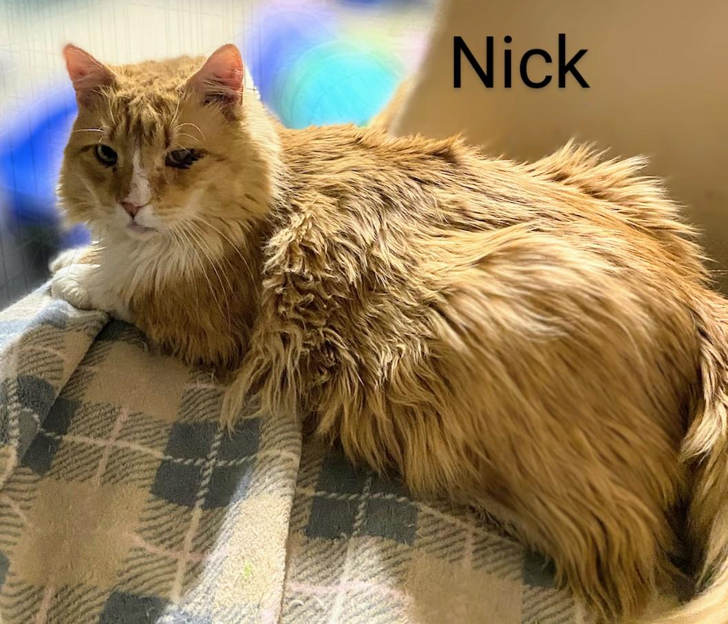 Nick