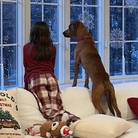 Enlarge Duke, a ADOPTABLE mixed breed in South Plainfield, NJ image 6/6