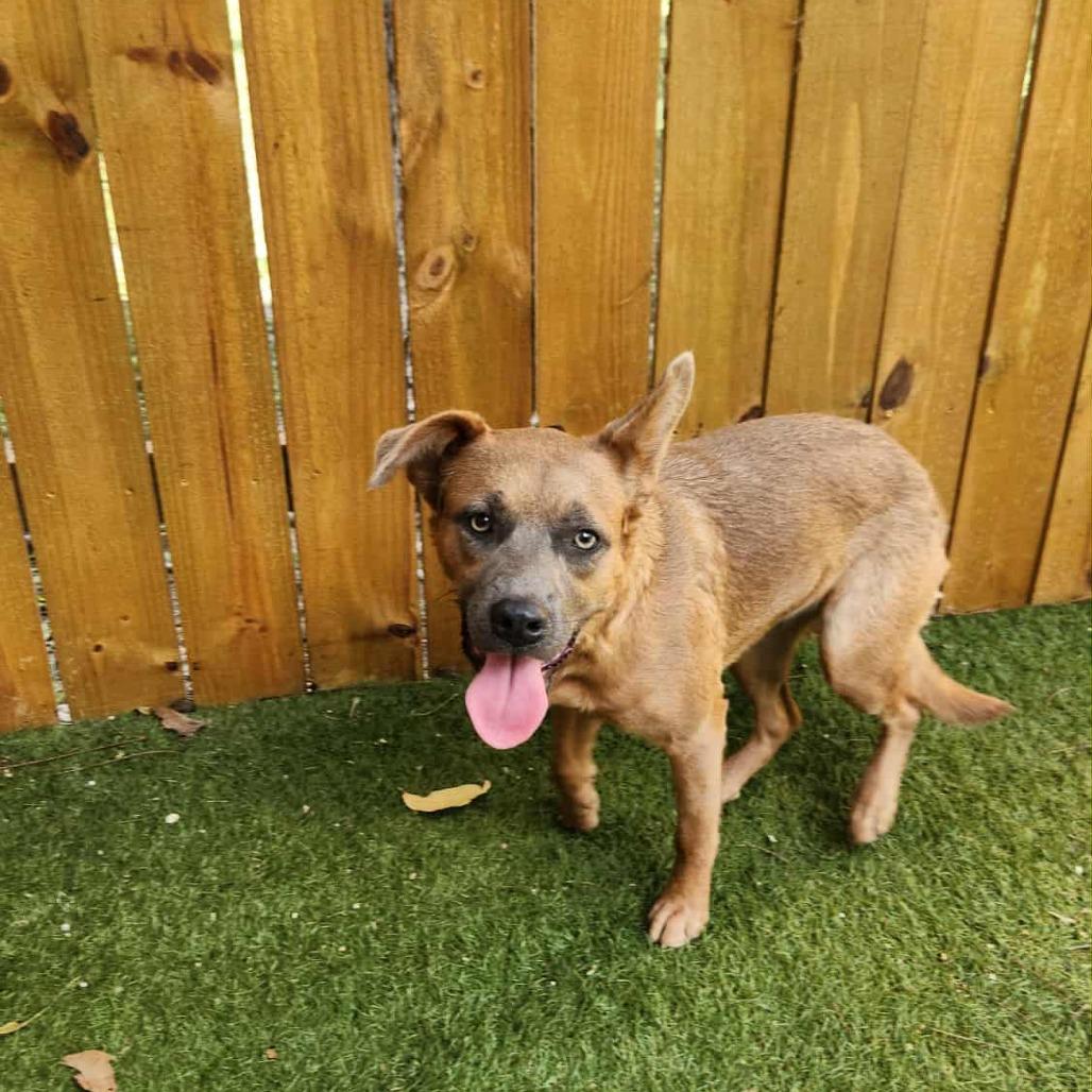 Donna KA — thumbnail 3