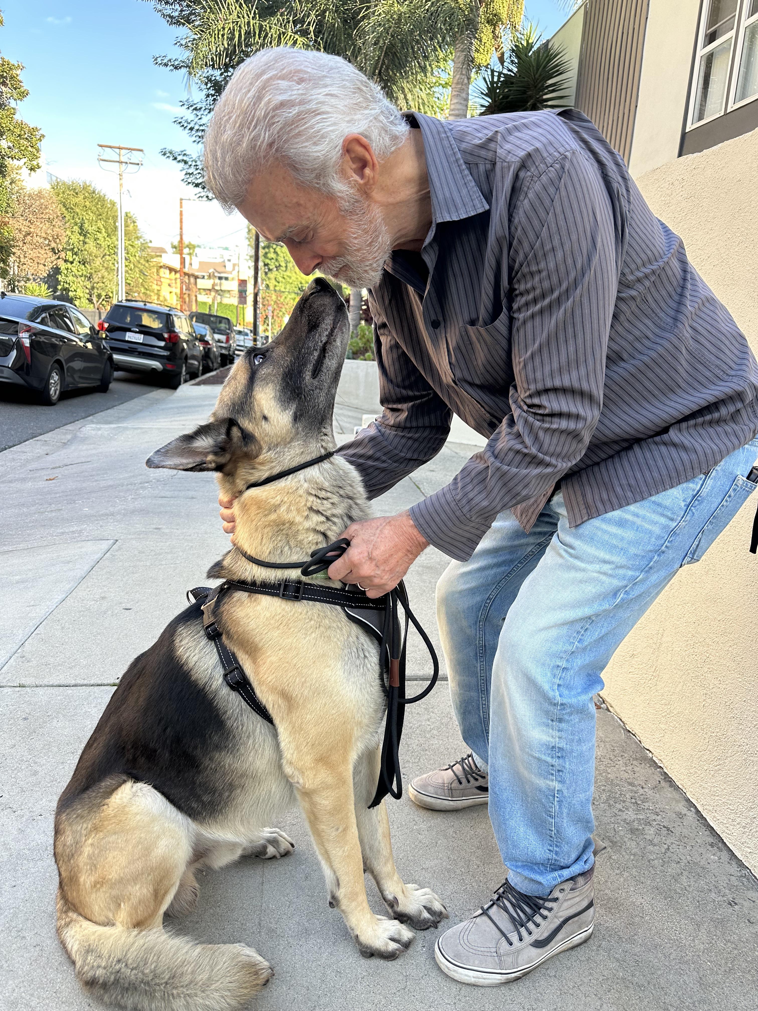 Enlarge ROCKY DeRose , a ADOPTABLE mixed breed in Sherman Oaks, CA image 5/6