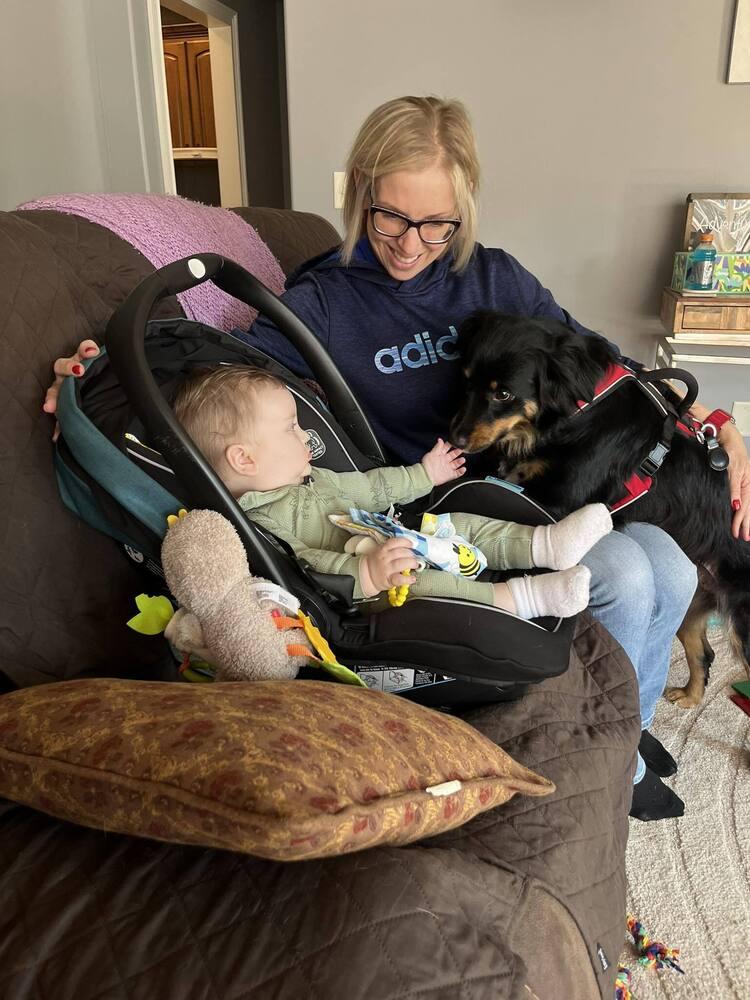 Enlarge Luna NC, a Adoptable Australian Shepherd in Ontario, CA image 1/6