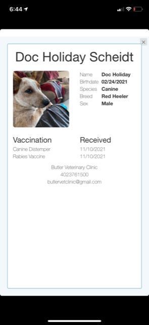 Doc, a Adoptable Labrador Retriever in Boone, IA image 3/6