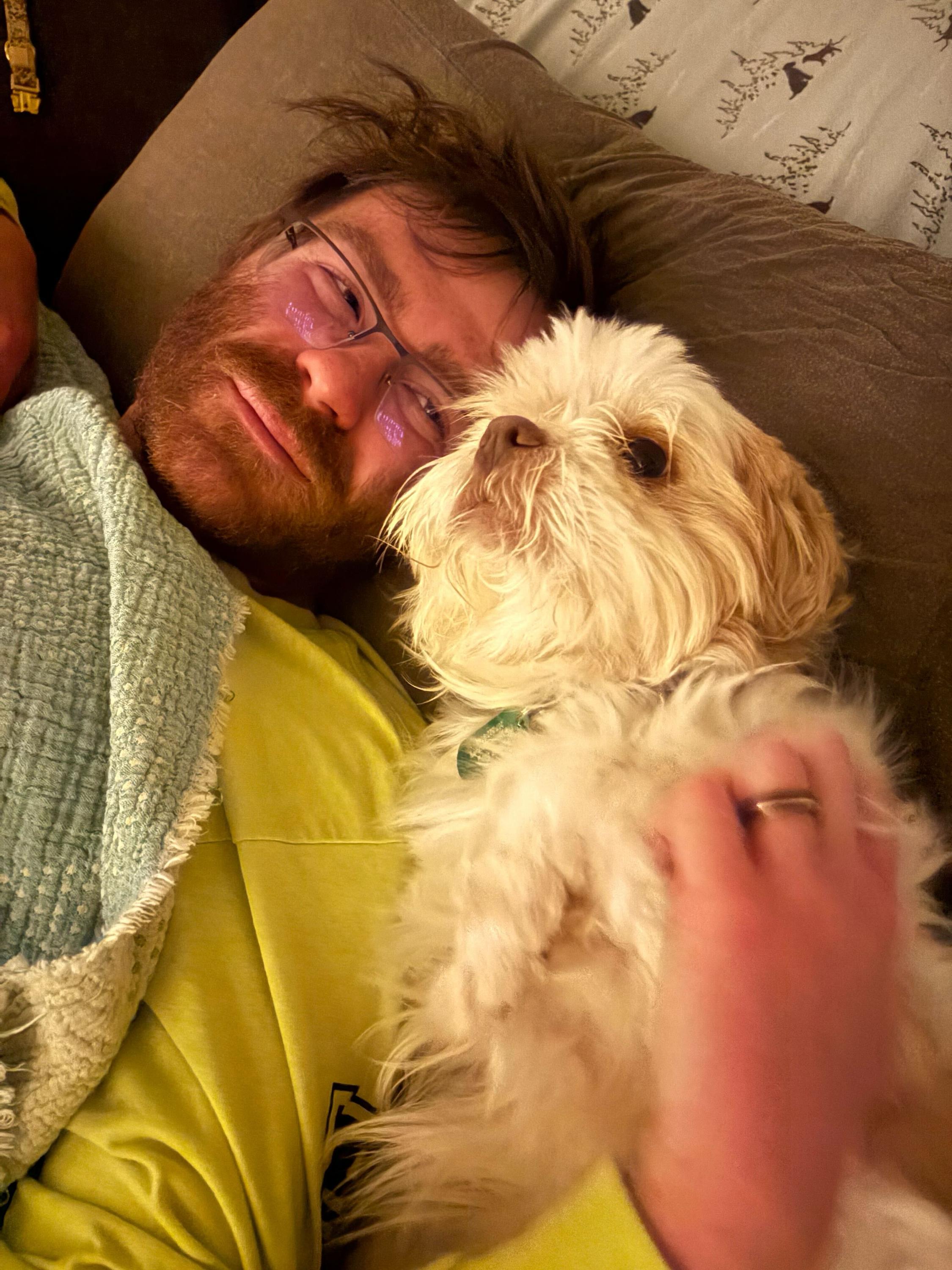 Enlarge Tofu, an adopted Mixed Breed in Bowdoin, ME image 4/5