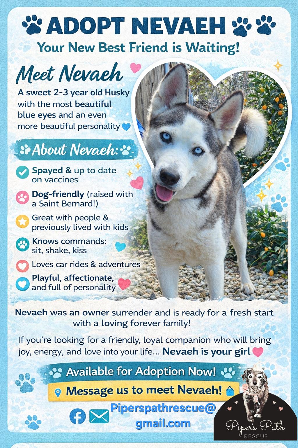 Enlarge Nevaeh, a ADOPTABLE Siberian Husky in Temecula, CA image 4/6