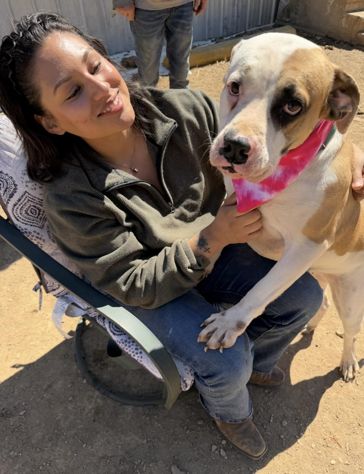 Enlarge Annie, a Adoptable mixed breed in lafayette , CO image 2/5