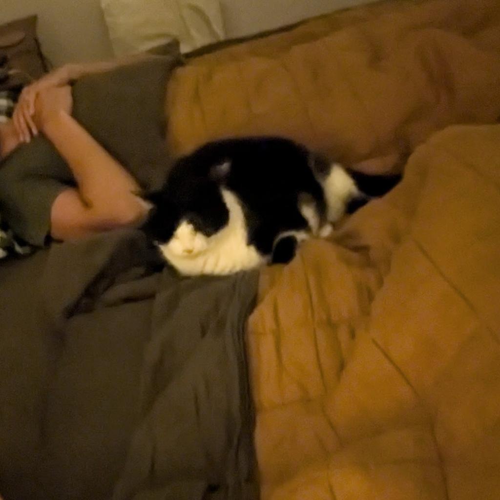 Wheat — thumbnail 2