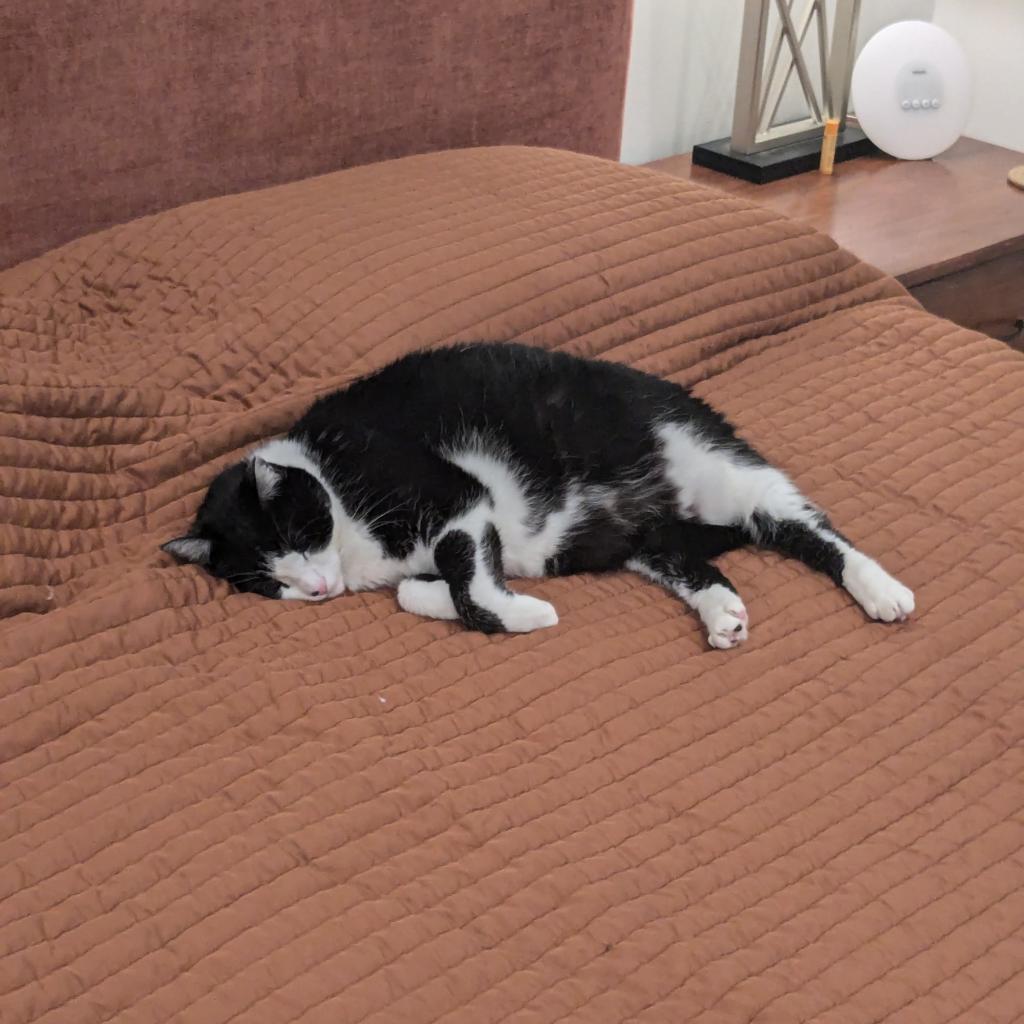 Wheat — thumbnail 3