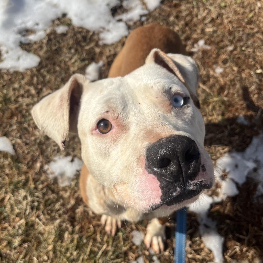 Cupid — thumbnail 2