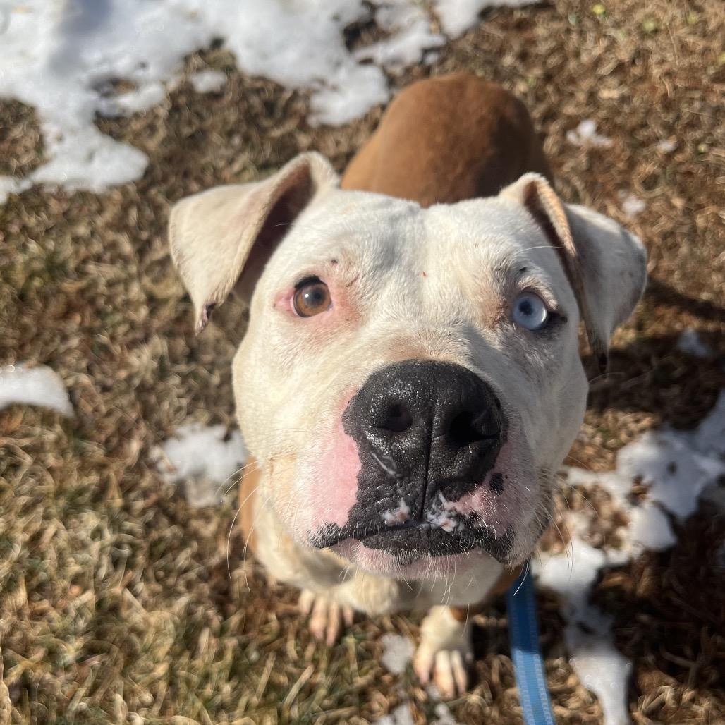 Cupid — thumbnail 6