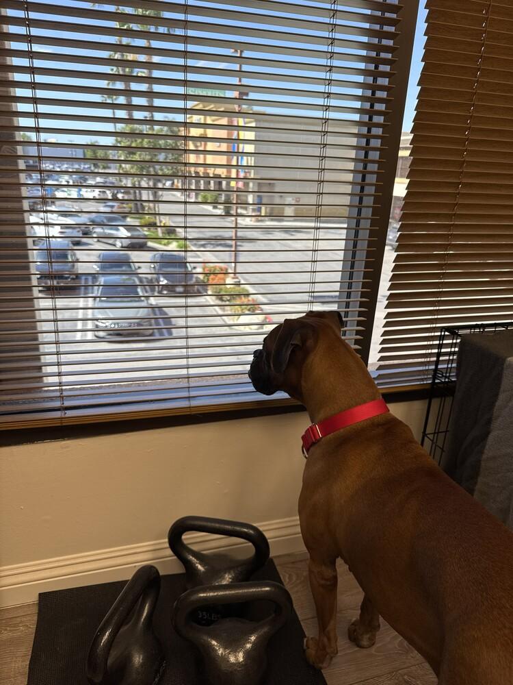 Chata — thumbnail 3