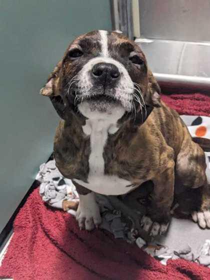 Fiona — thumbnail 2