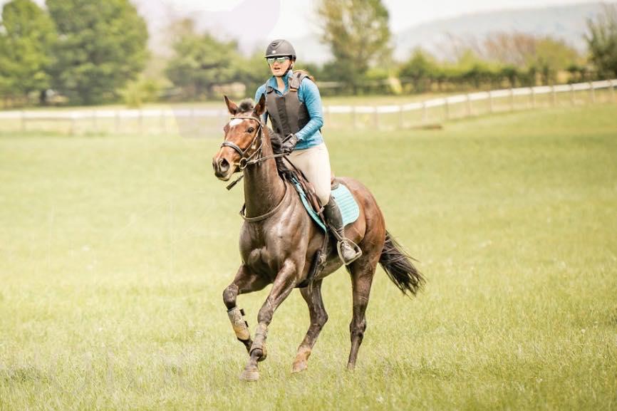 Pipe Dreamin (Prada), ADOPTABLE, Adult Female Thoroughbred.