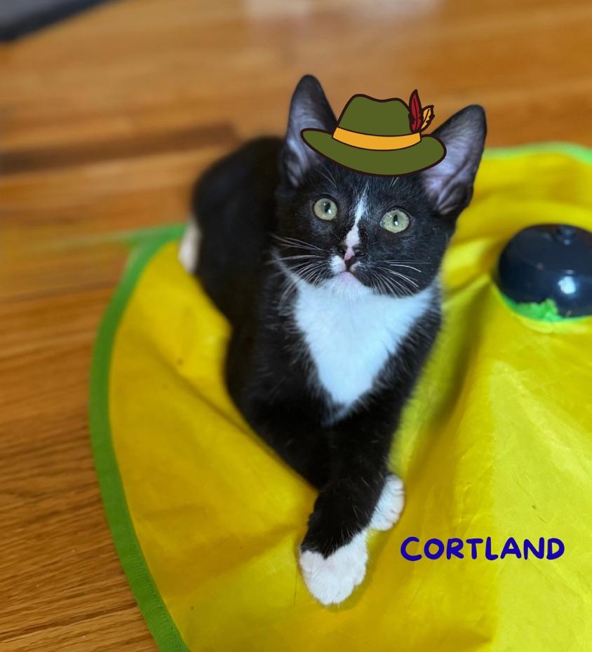 CORTLAND