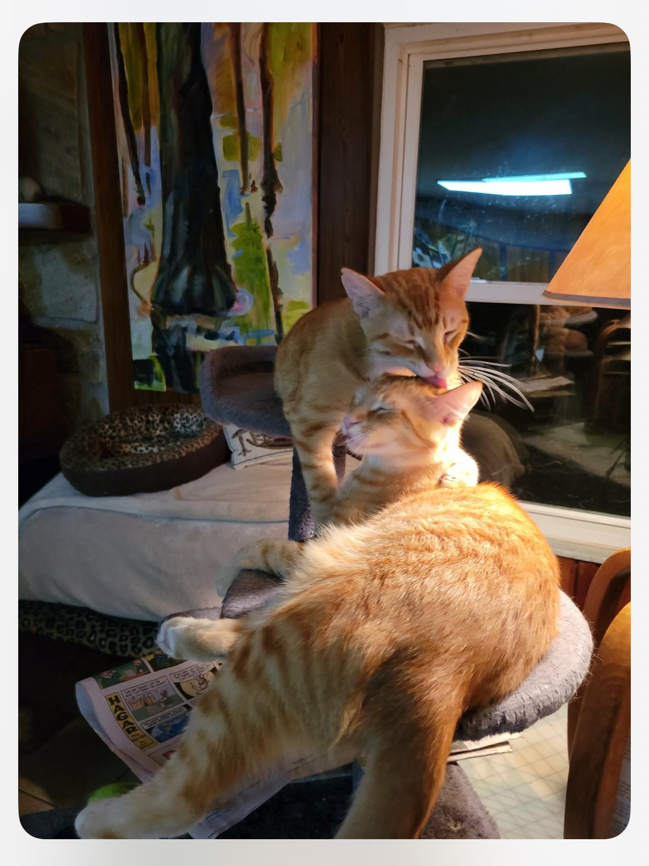 Lefty & Pancho thumbnail 2