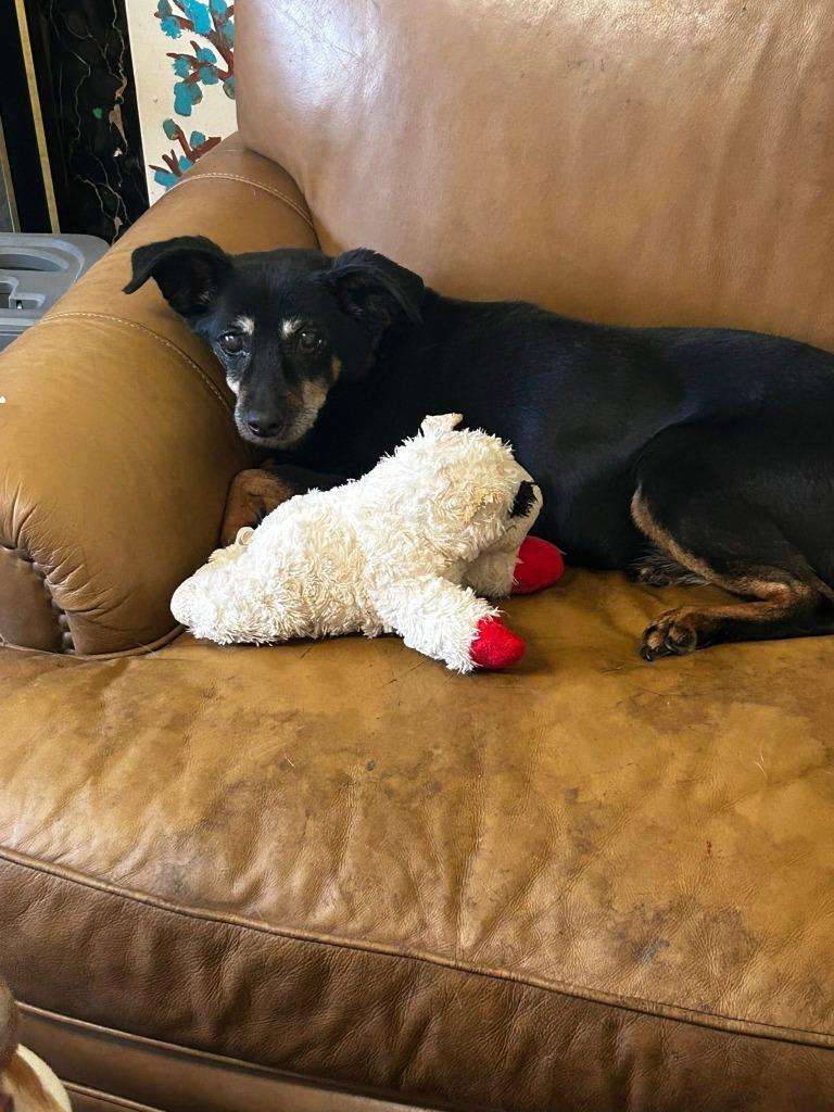 Honey — thumbnail 2