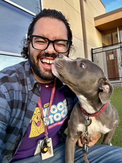 Enlarge Luna, a Adoptable mixed breed in Wichita, KS image 4/6