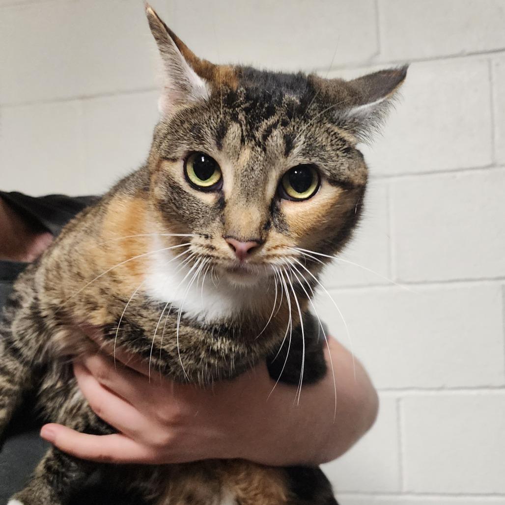 Sally — thumbnail 2