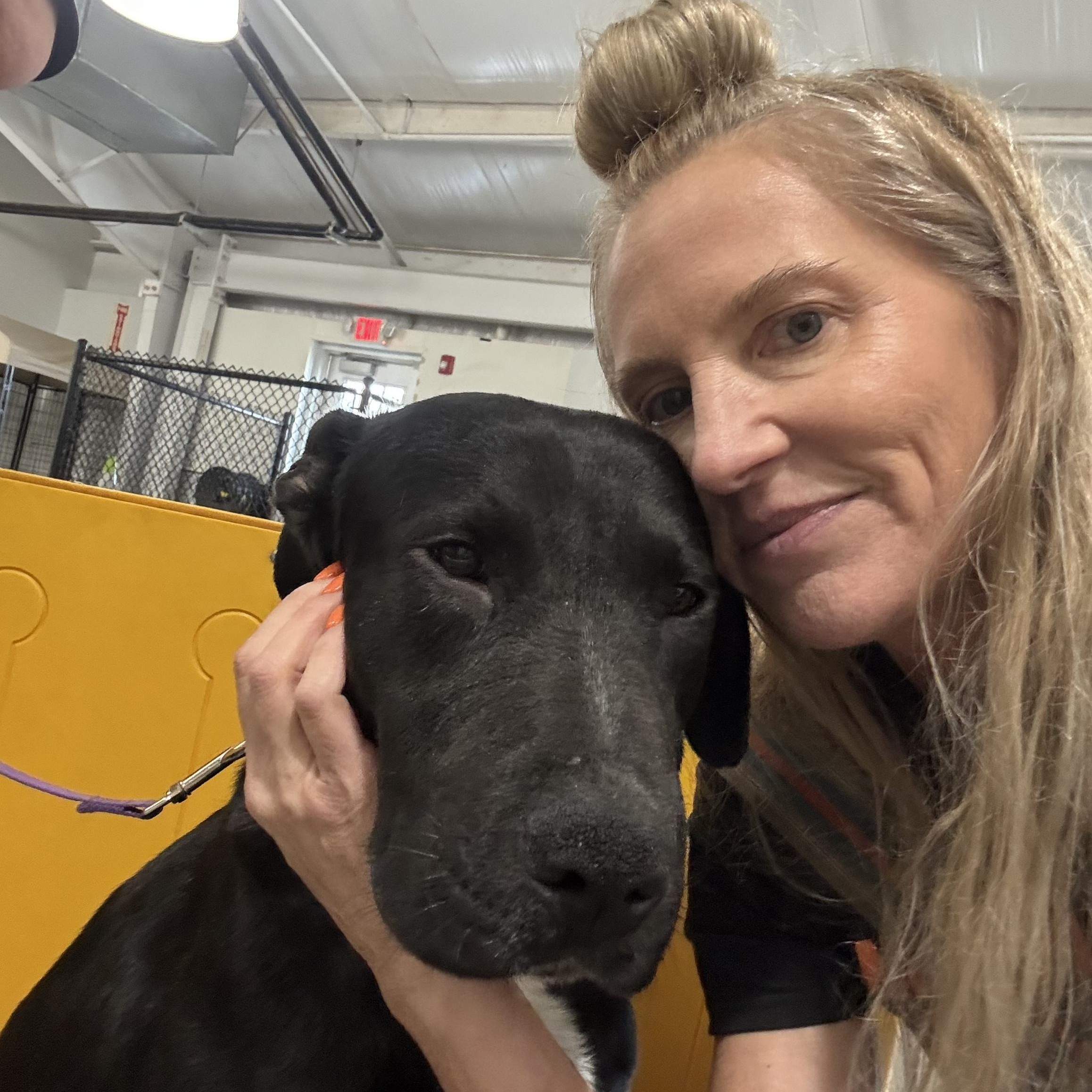 Enlarge Timber, a ADOPTABLE mixed breed in atlanta, GA image 5/6