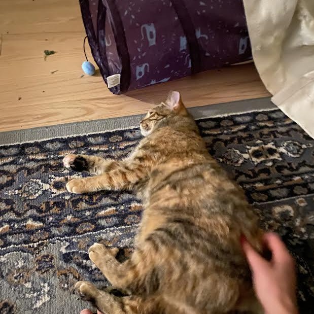 Strawberri thumbnail 4