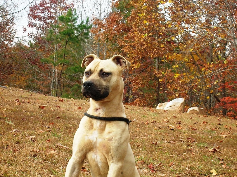 Buddy photo 3