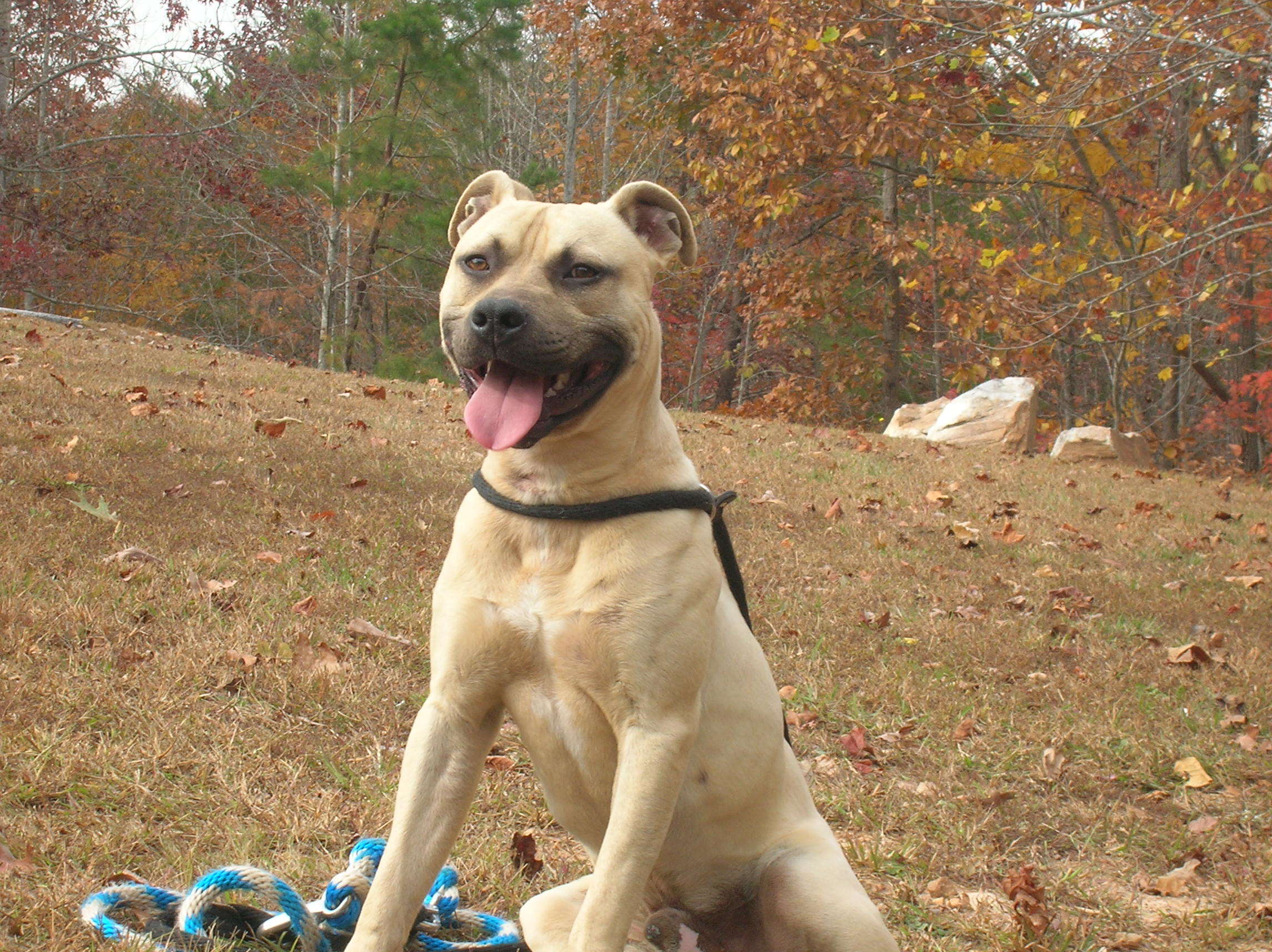 Buddy photo 2