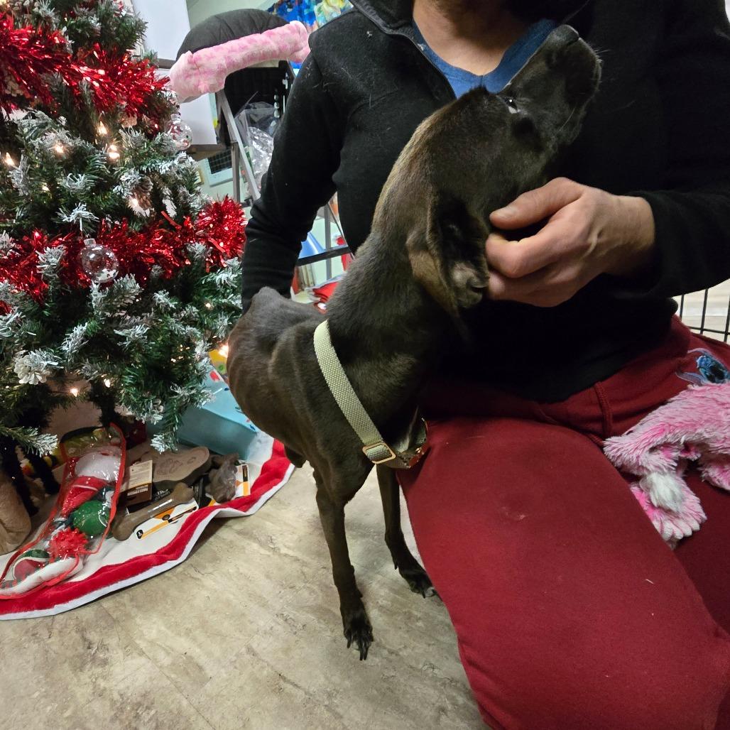 Zuzu — thumbnail 4