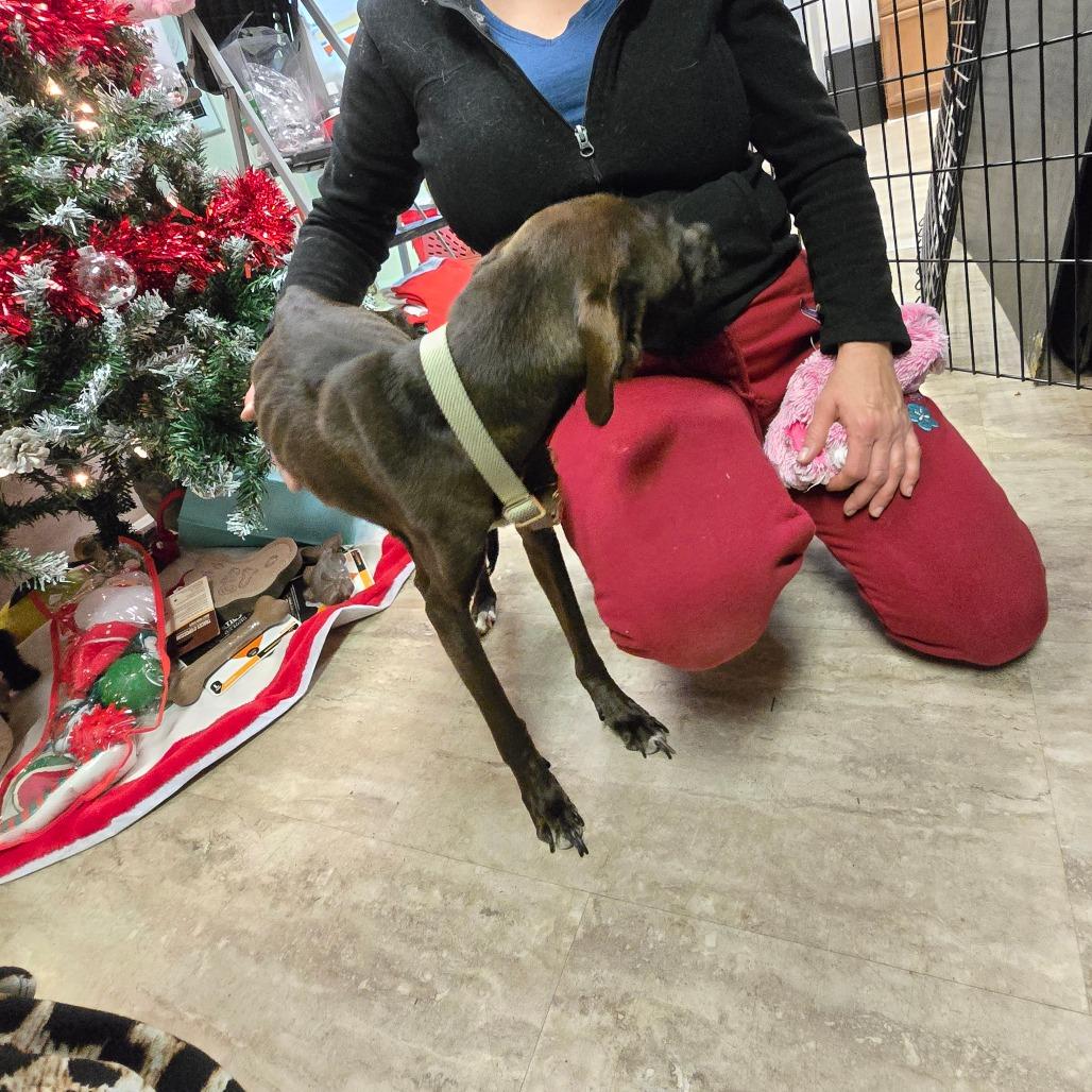 Zuzu — thumbnail 5