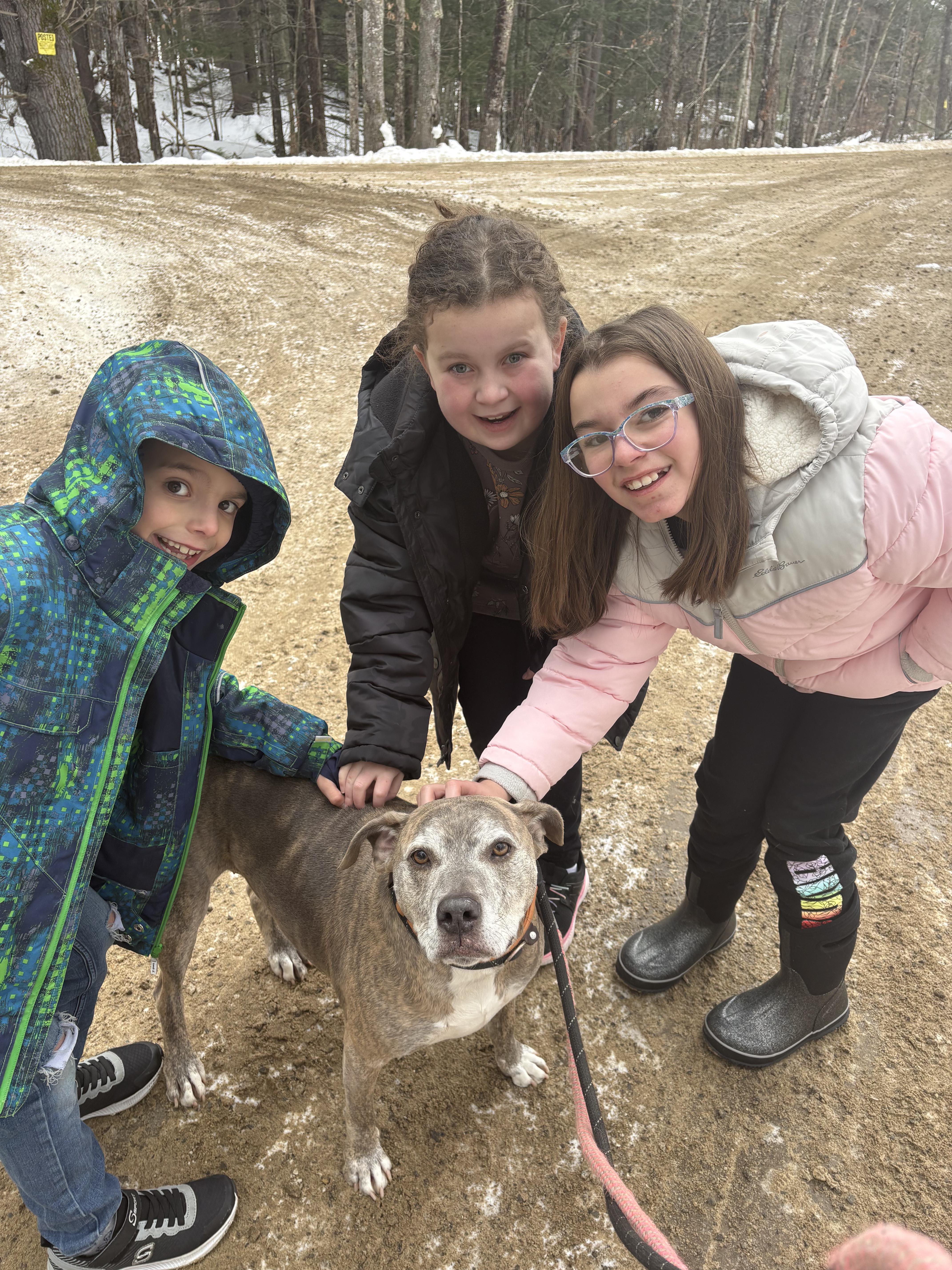 Enlarge Dozer and Minni, a ADOPTABLE mixed breed in New Boston, NH image 5/6