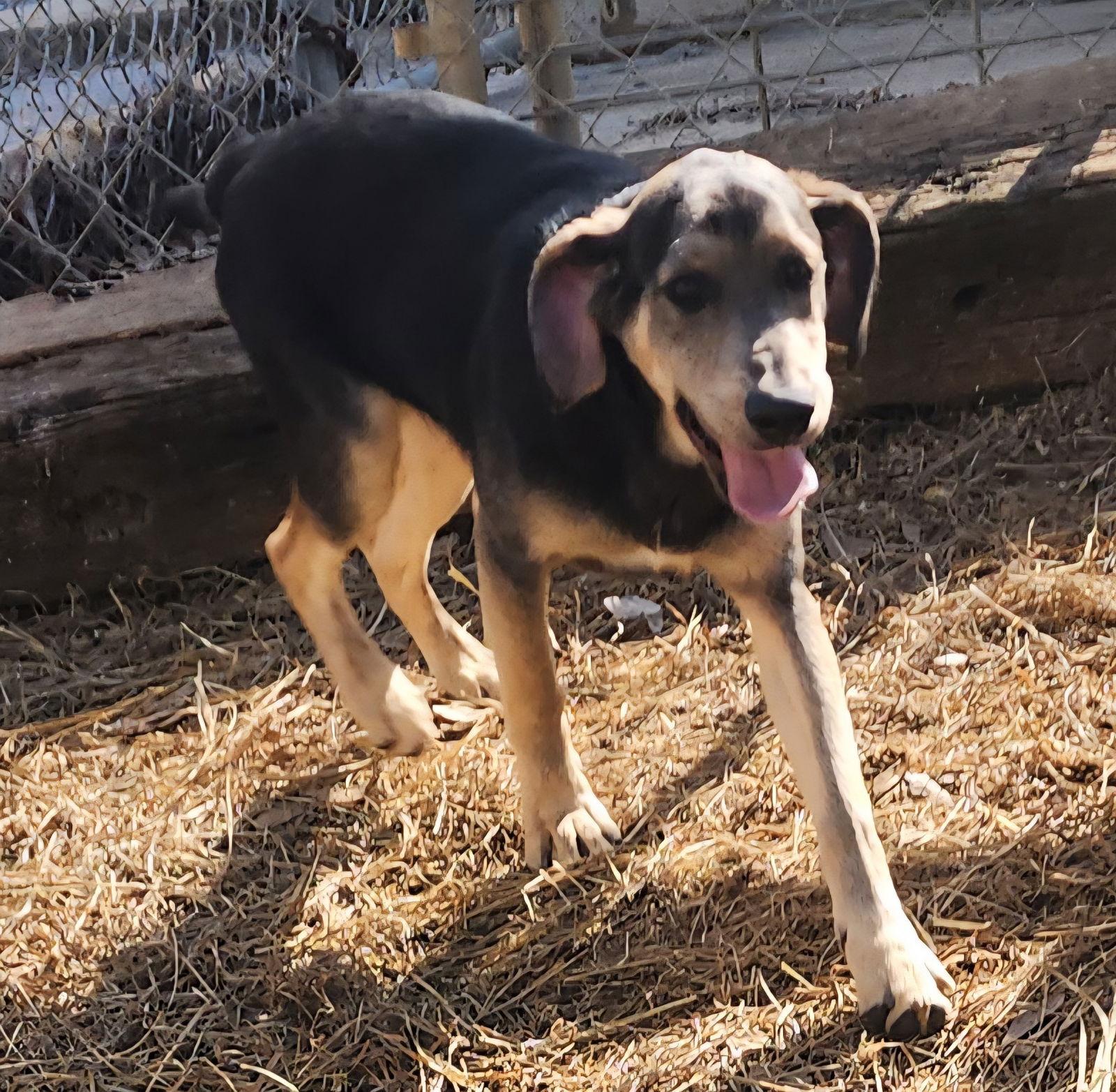 252057 LSU — thumbnail 2