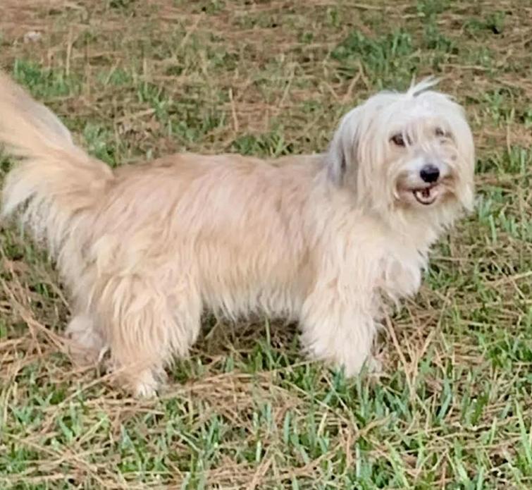 Mr. Fitz In La thumbnail 3