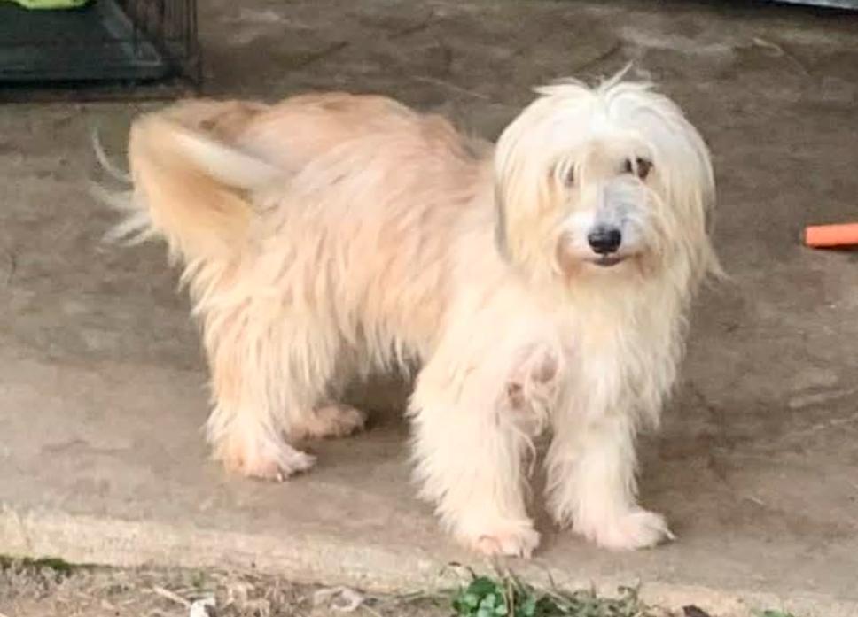 Mr. Fitz In La thumbnail 4