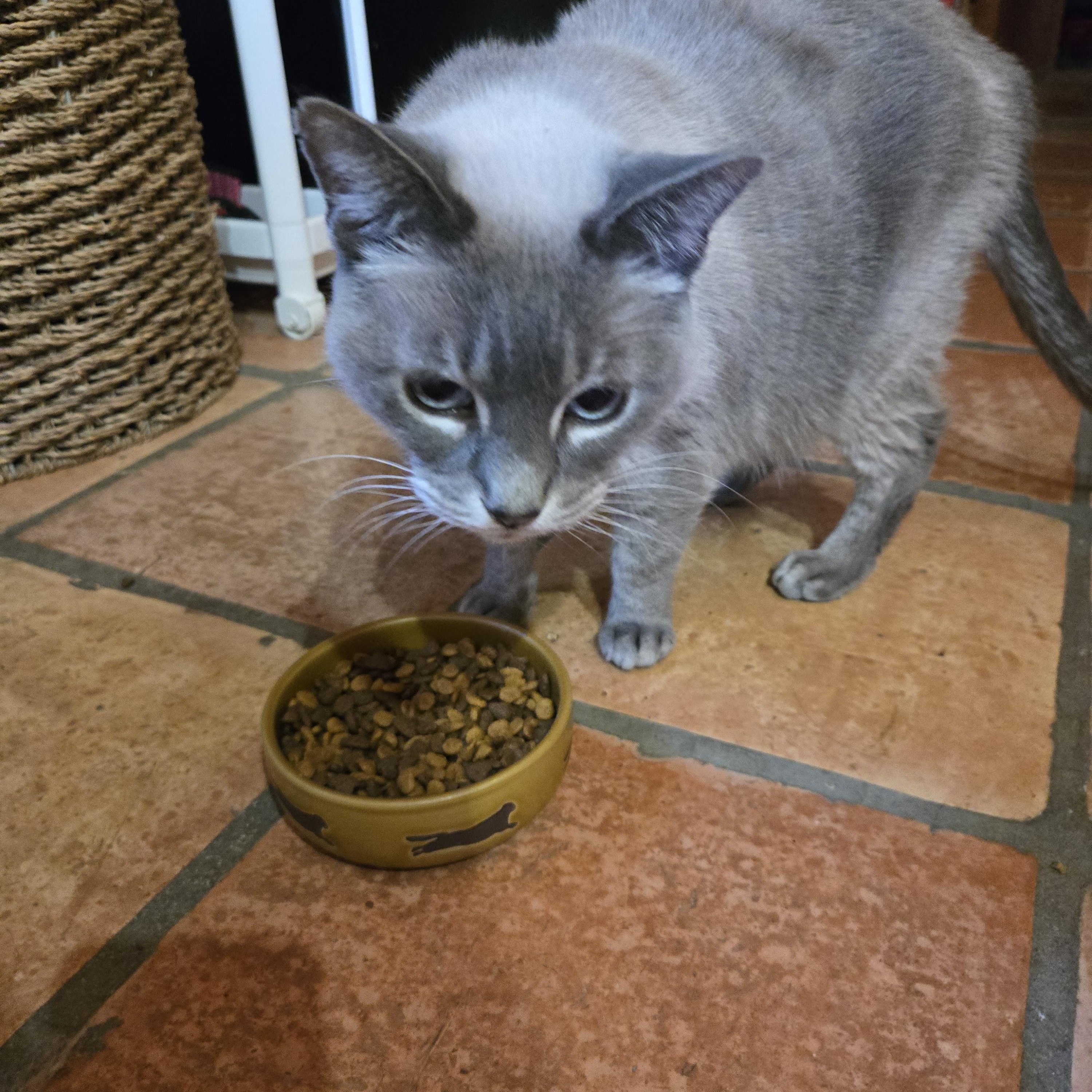 Olivia *In foster home*