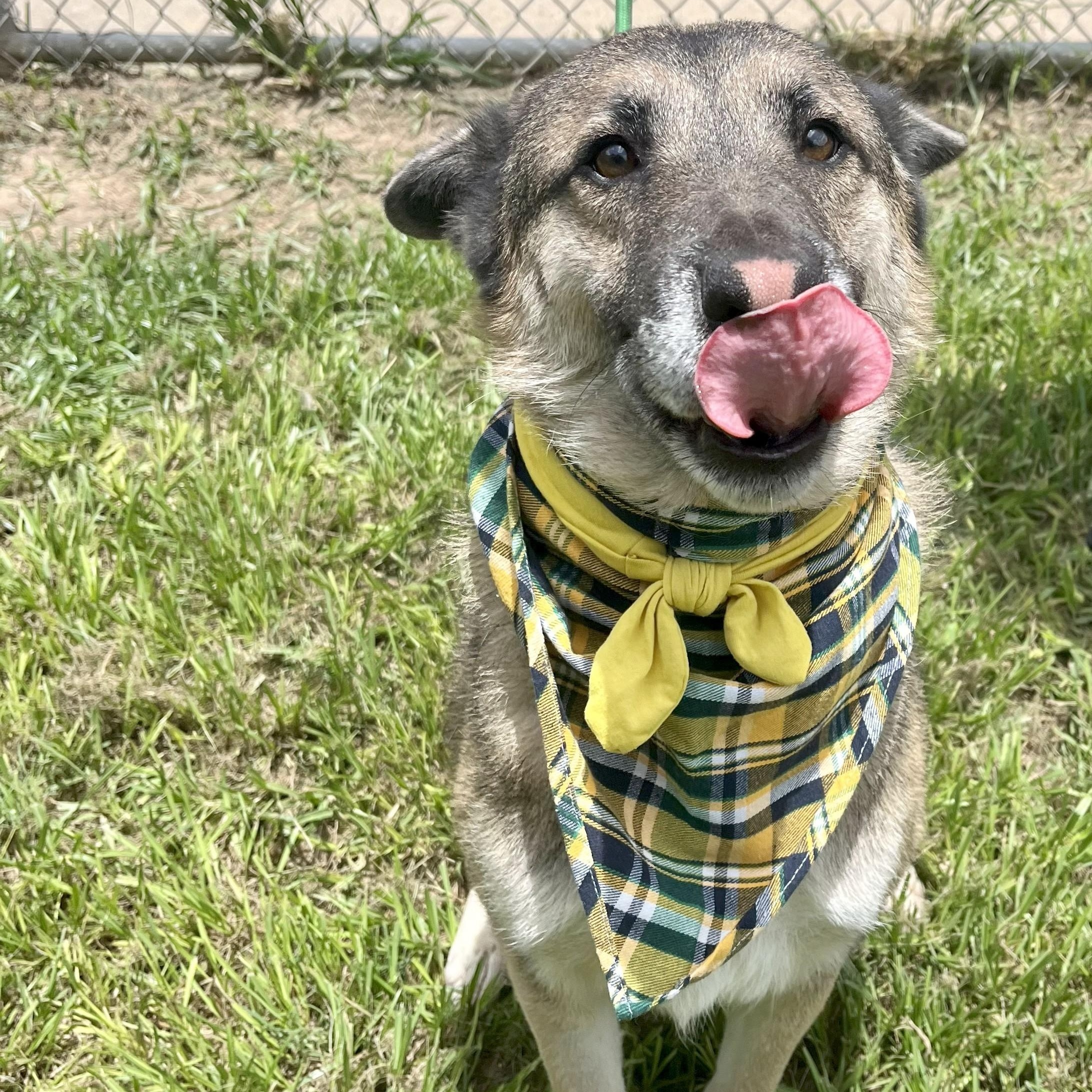 Nissan — thumbnail 3