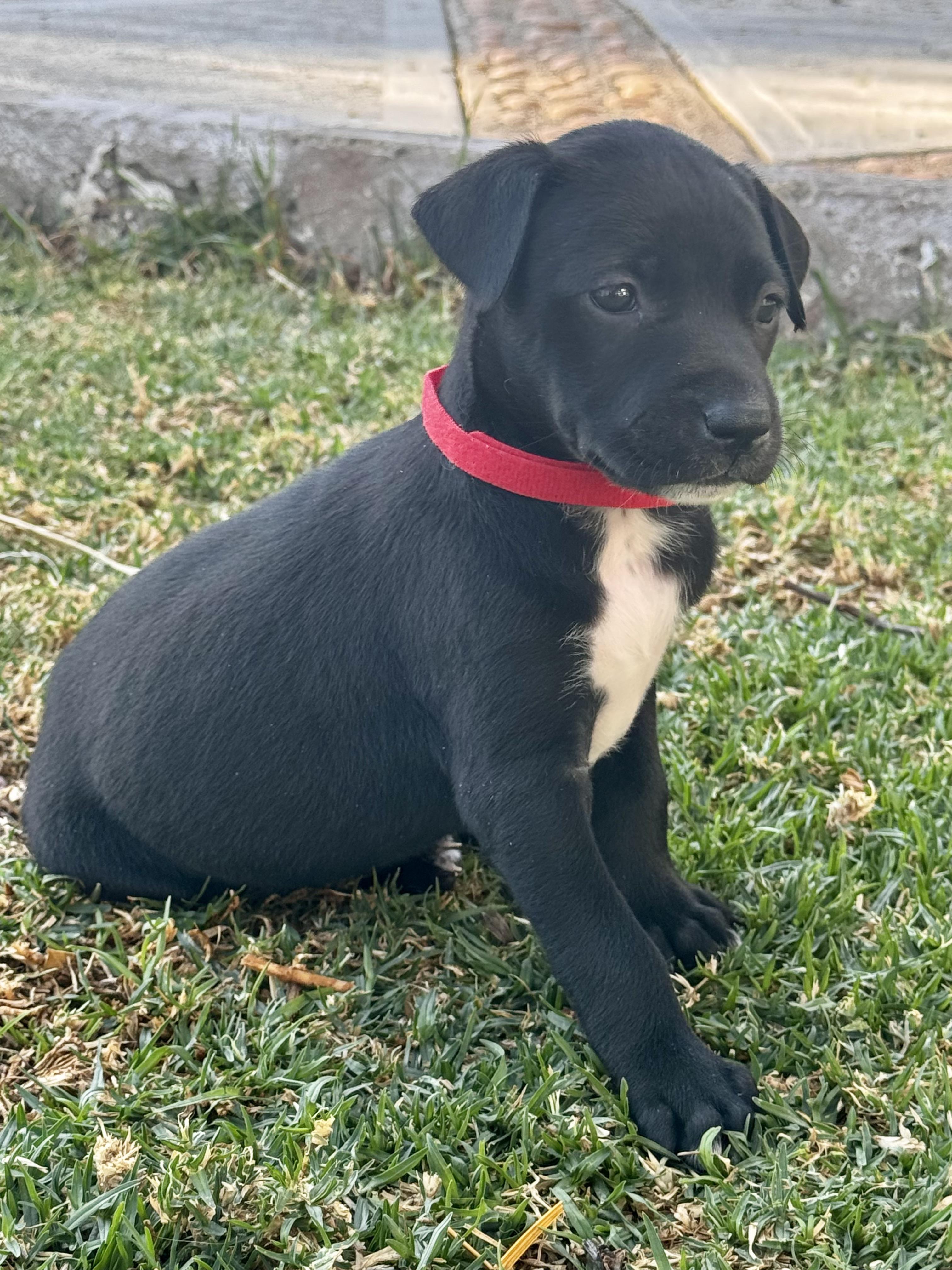 Ursula — thumbnail 2