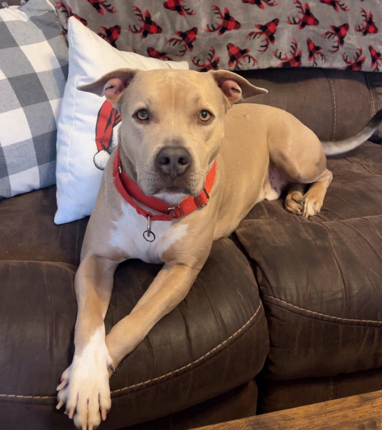 Callum — thumbnail 5