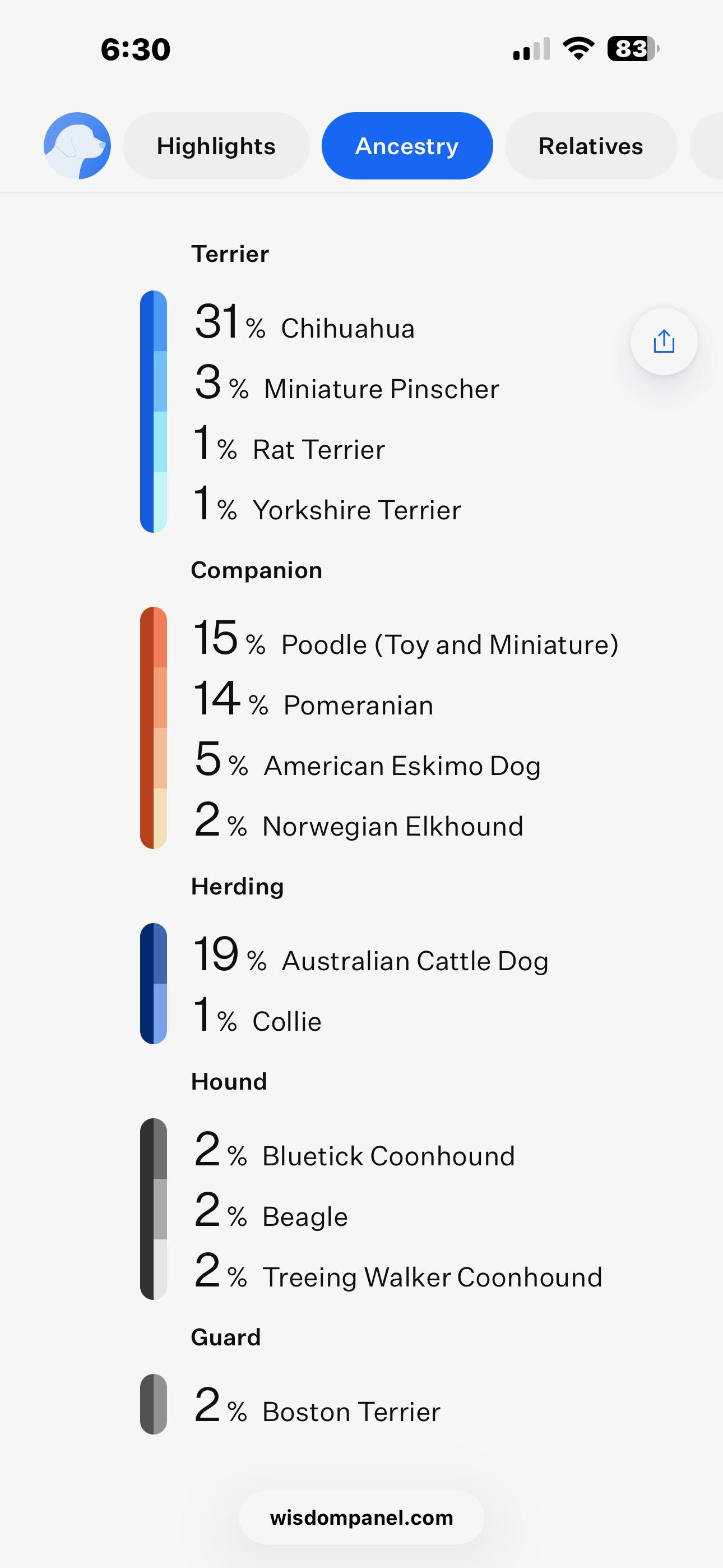 Enlarge Daryl, a ADOPTABLE mixed breed in Lexington, KY image 6/6