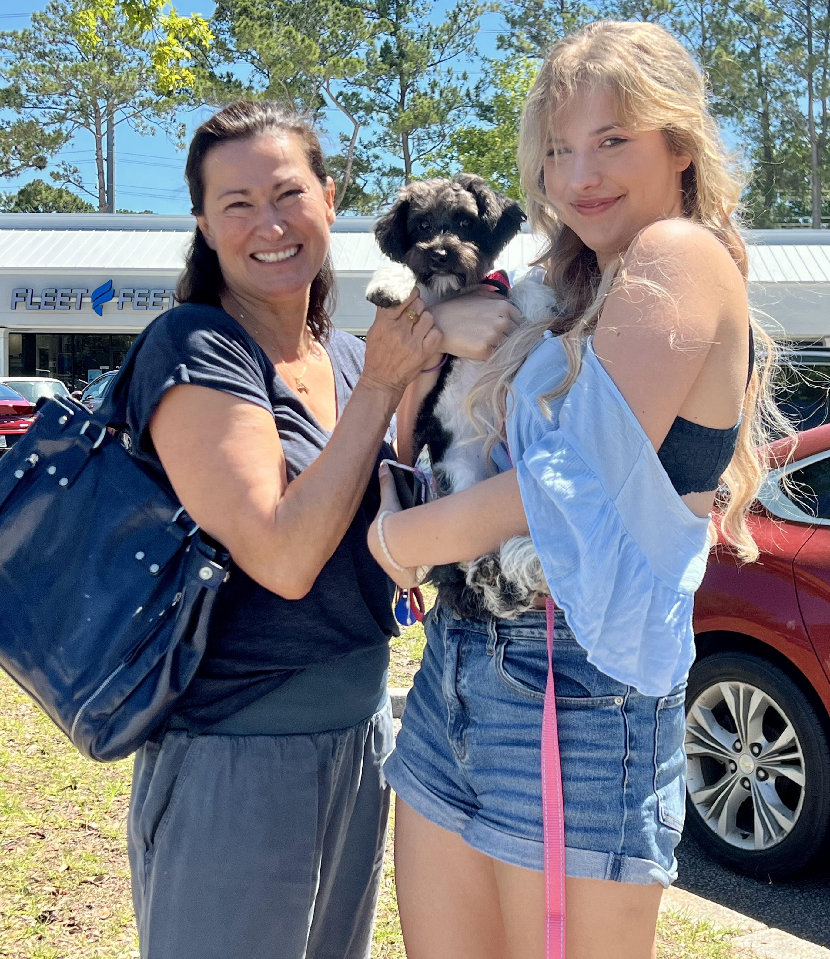 Enlarge Maisie, an adopted mixed breed in Mt Pleasant, SC image 6/6