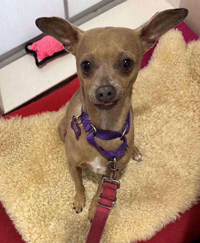 Mya