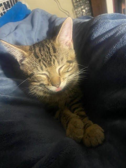 Tanji & Nezzy - Brothers