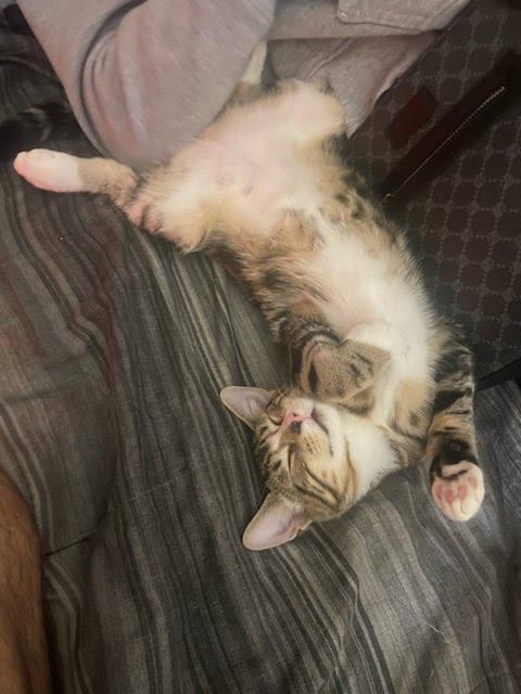 Tanji & Nezzy - Brothers