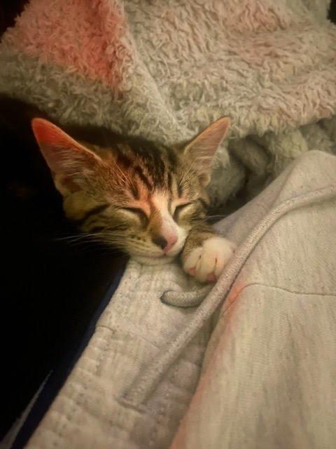 Tanji & Nezzy - Brothers