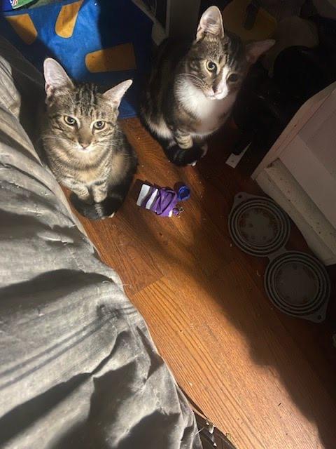 Tanji & Nezzy - Brothers