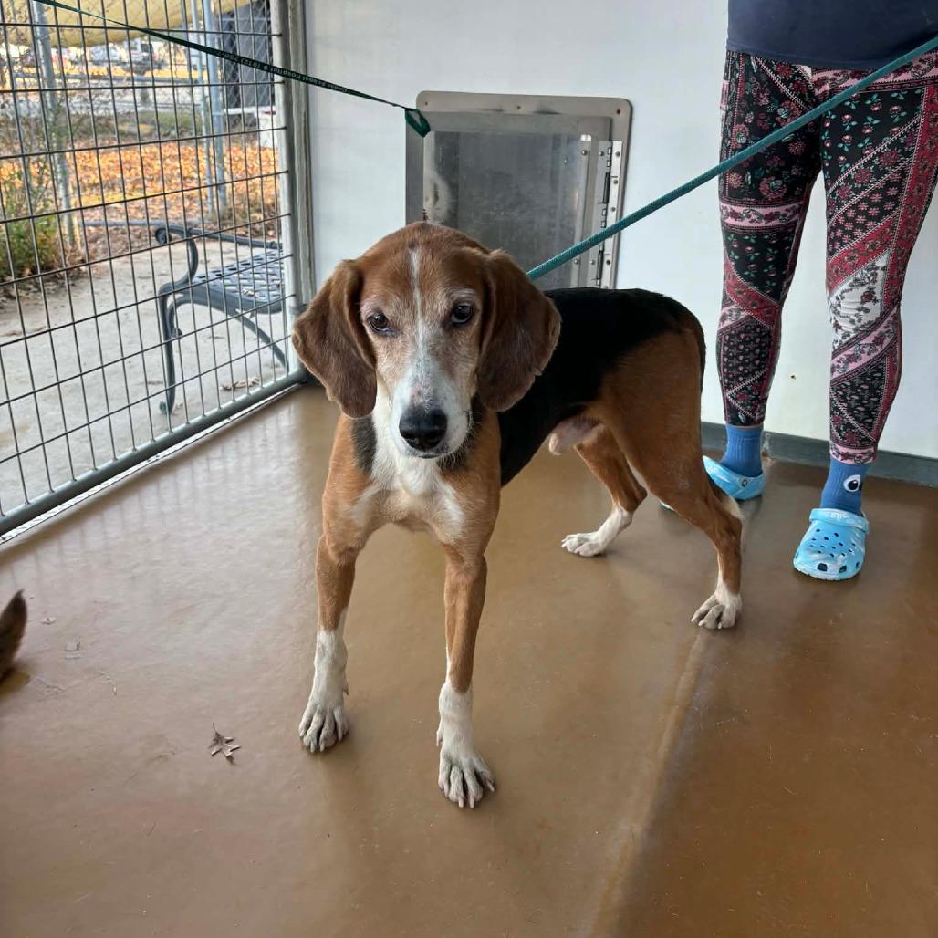 Toaster — thumbnail 3