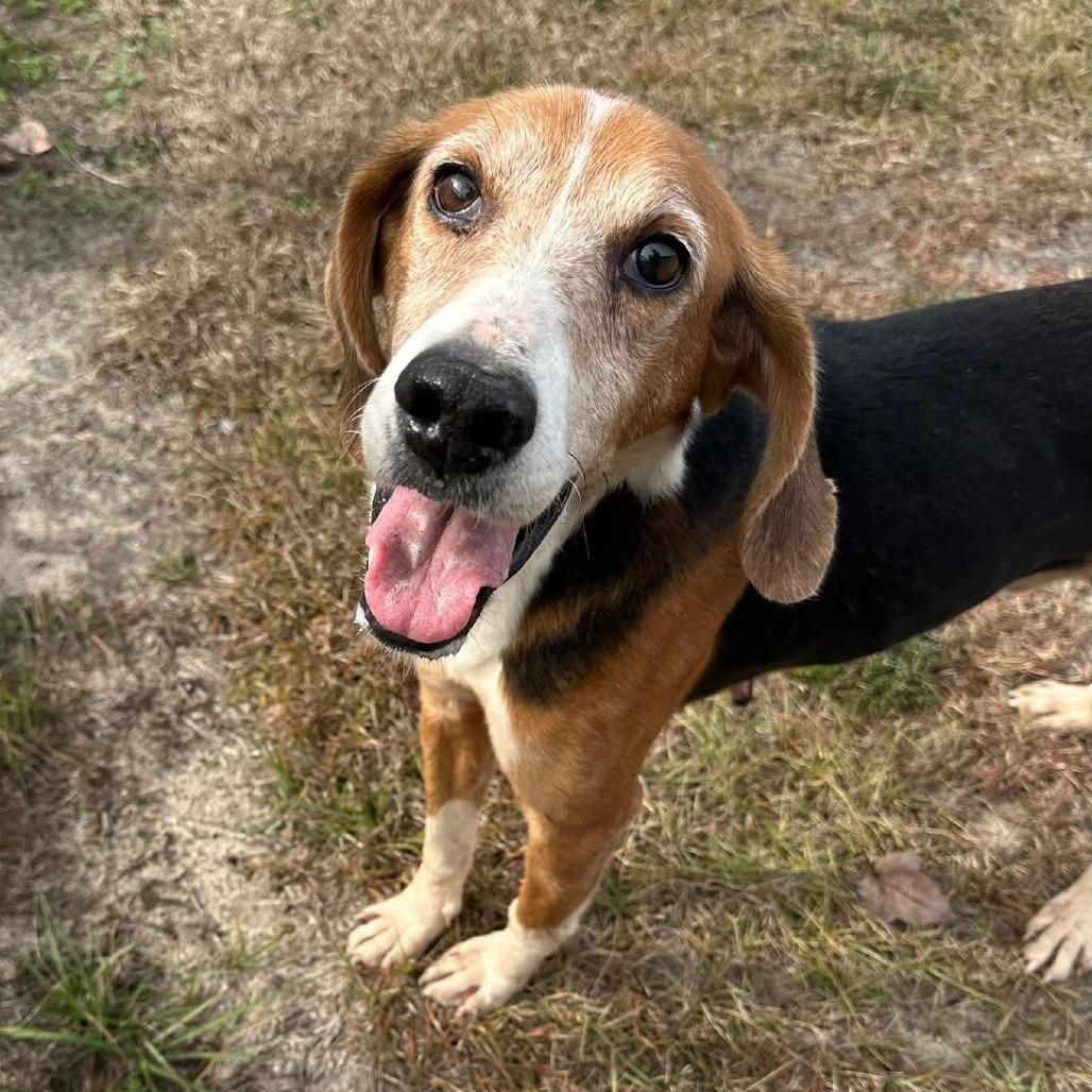 Toaster — thumbnail 4