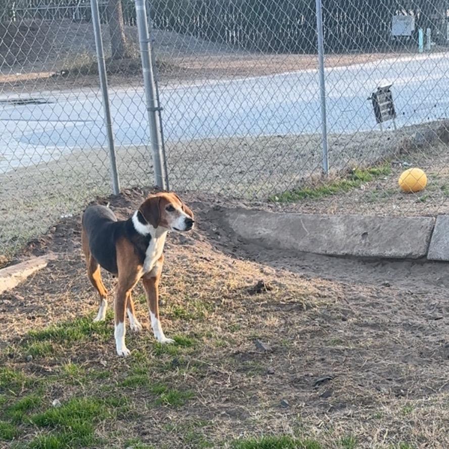 Toaster — thumbnail 5