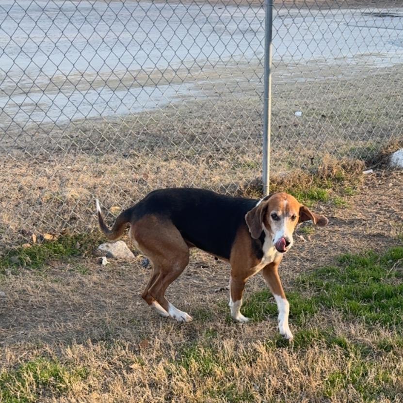 Toaster — thumbnail 6