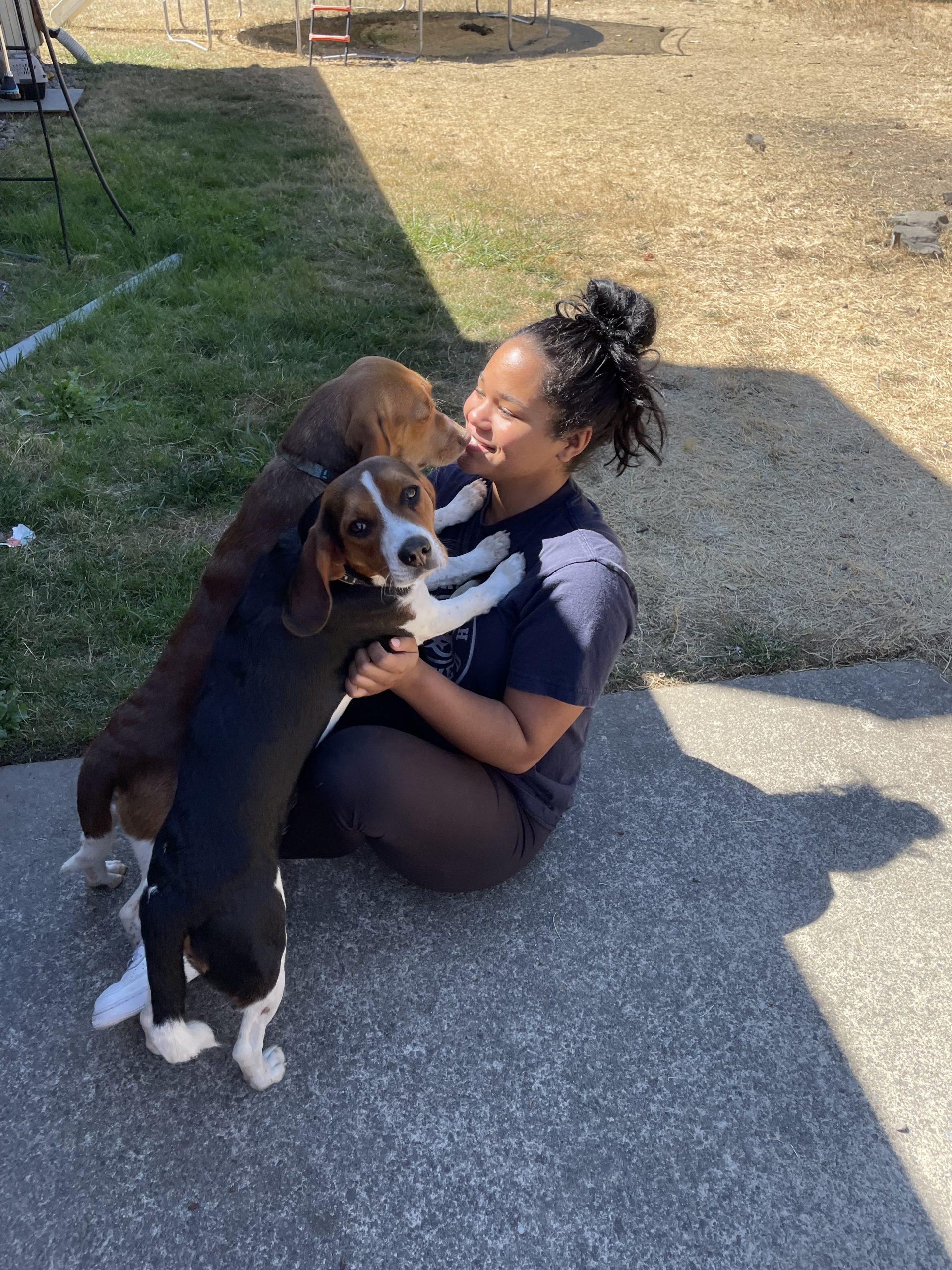 Leo, Adoptable, Puppy Male Beagle.