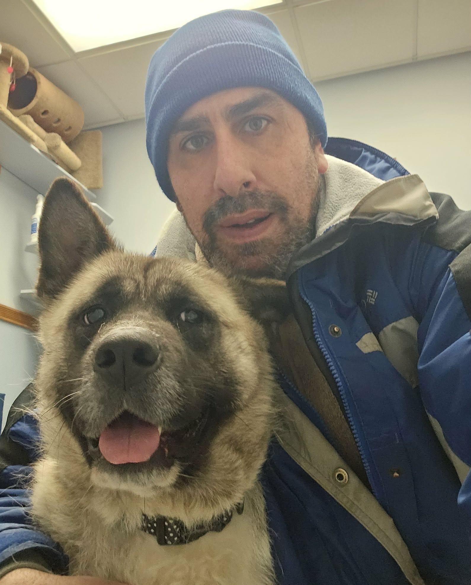 Enlarge China , an adopted Akita in Buffalo, NY image 5/5