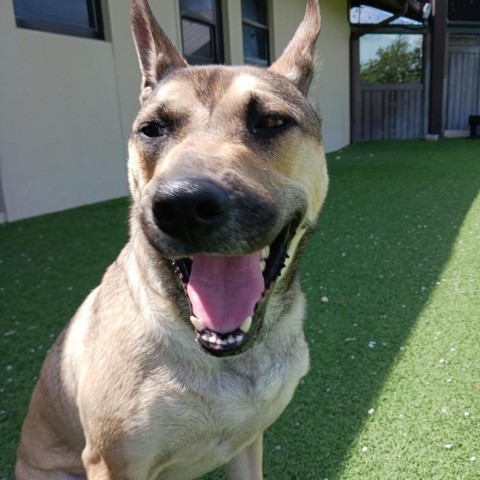 Luka AKA Pengu 5953 3